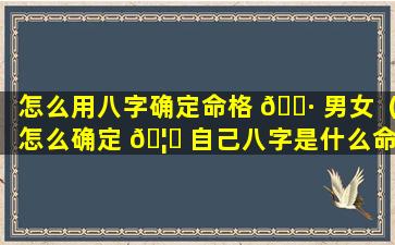 怎么用八字确定命格 🕷 男女（怎么确定 🦆 自己八字是什么命格）